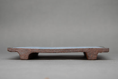 tray *25034