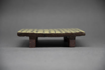 tray